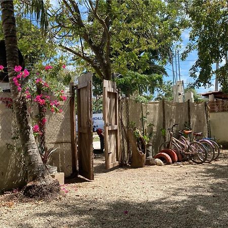 Hotel Selva Bacalar - Free Bike Rental Luaran gambar