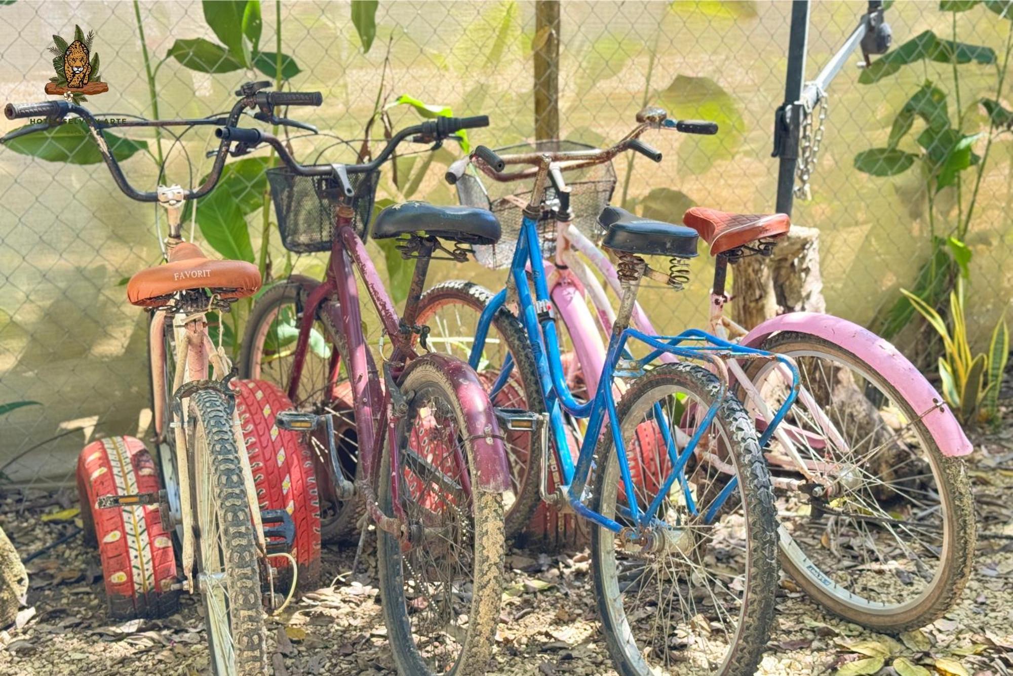 Hotel Selva Bacalar - Free Bike Rental Luaran gambar