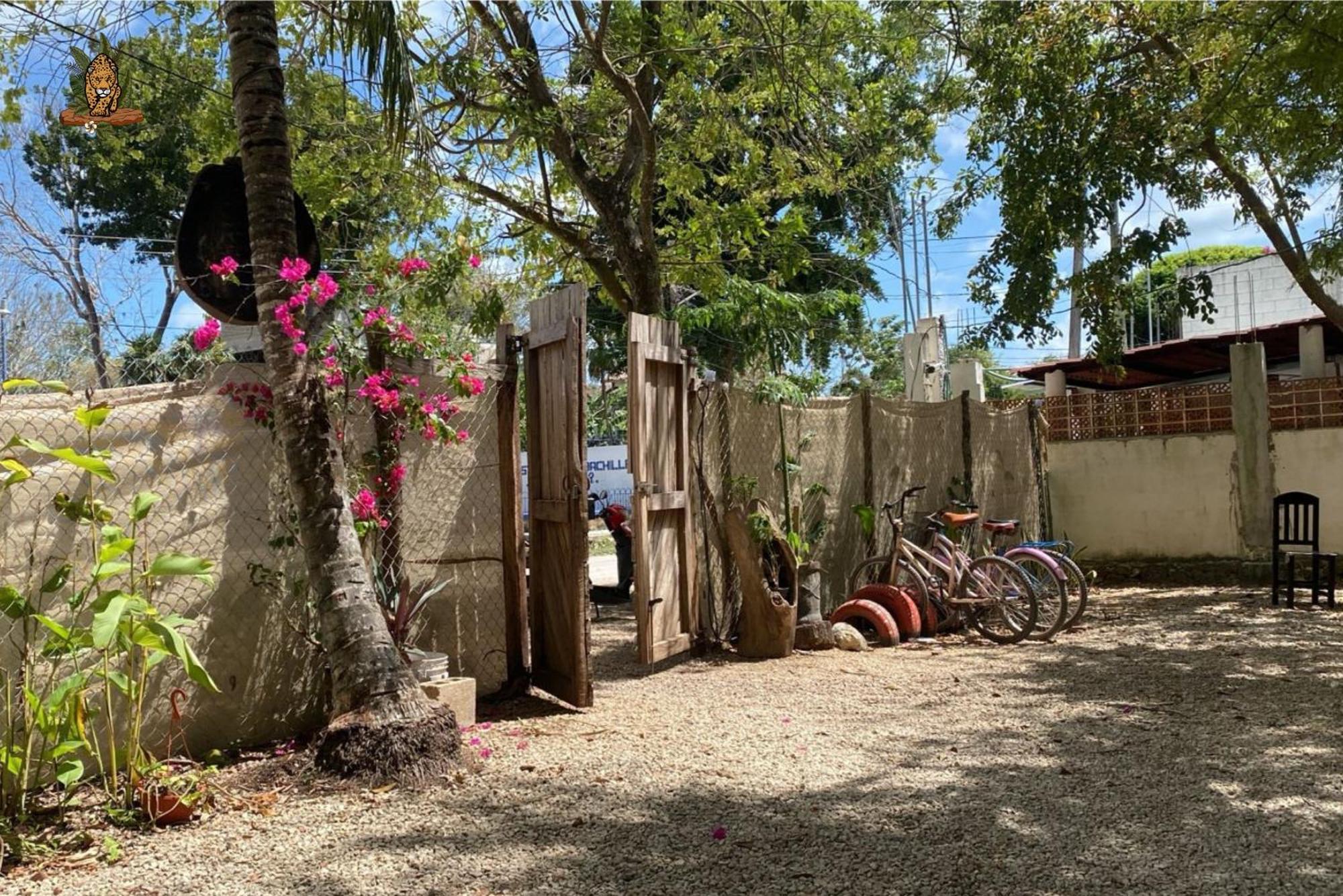 Hotel Selva Bacalar - Free Bike Rental Luaran gambar